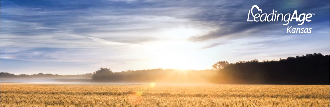 2022 Image sunset landscape wheatfield 2022 Image sunset landscape wheatfield
